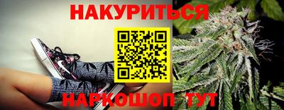 прущие грибы Балашиха