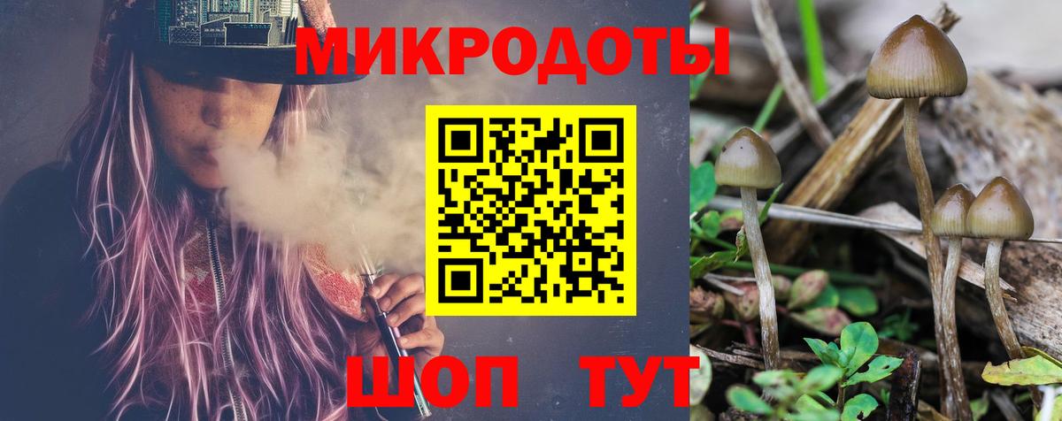 где купить наркотик  Вход с VPN  Ессентуки  Галлюциногенные грибы Psilocybine cubensis 