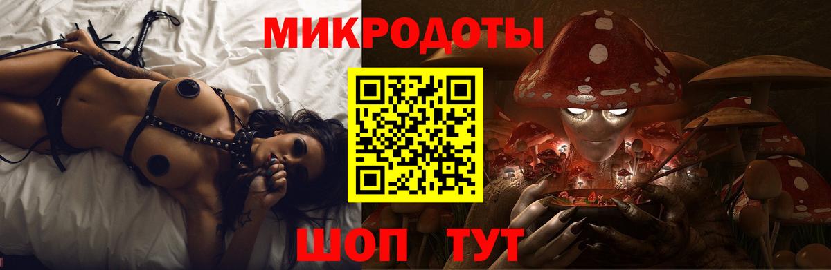 Галлюциногенные грибы Psilocybine cubensis Ессентуки